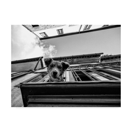 Trademark Fine Art K, K Carlos 'Peaking Over The Balcony 2' Canvas Art, 24x32 1X10023-C2432GG